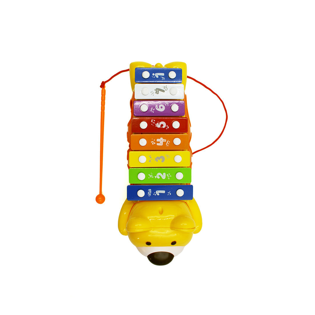 Bear Xylophone Toy with Blocks - Toyspry