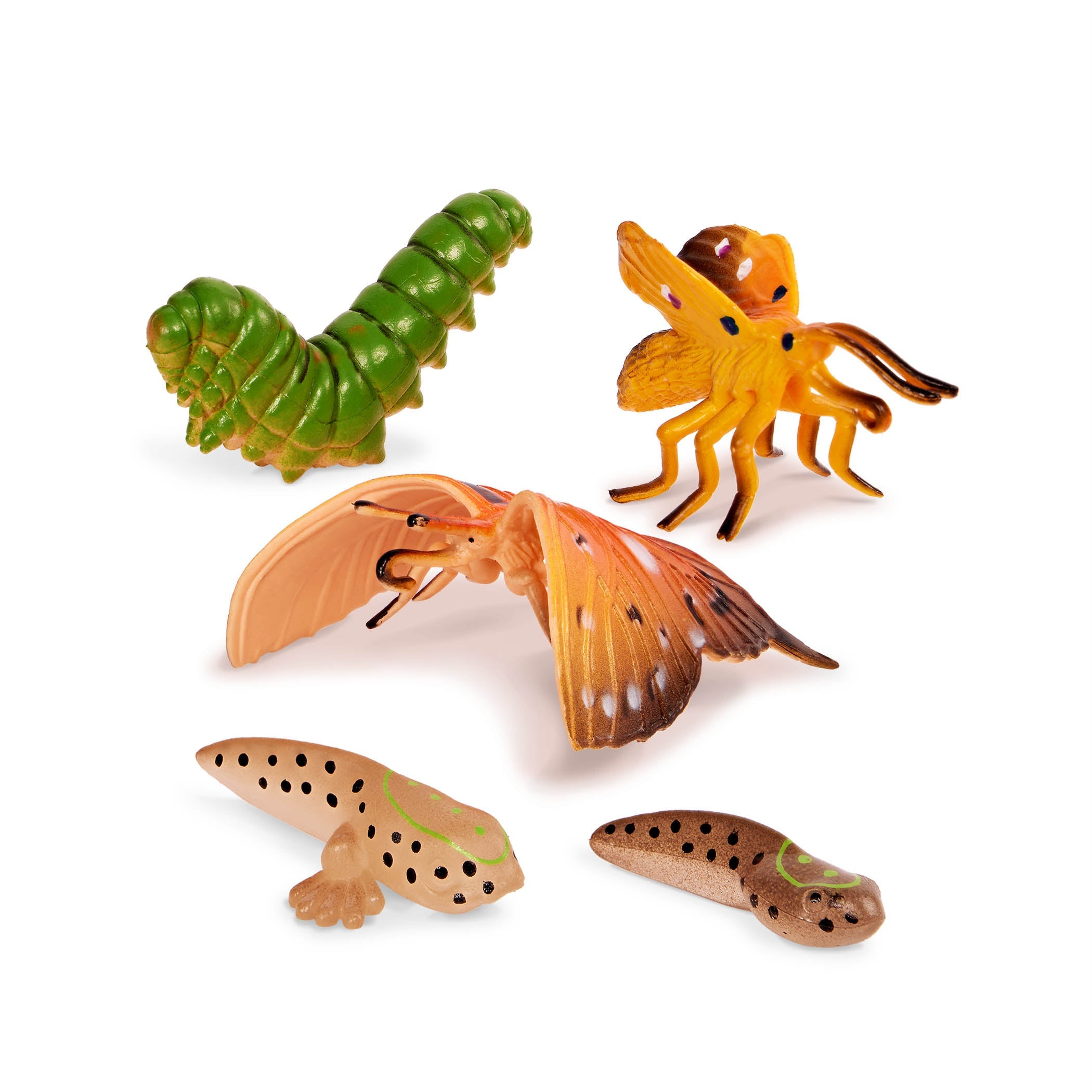 Terra Transforming Animals - 10-Piece Toy Figure Set - Toyspry