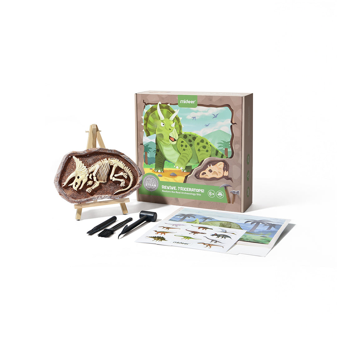 Mideer Dig a Dinosaur Kit Triceratops archaeological dig for kids toys UAE.