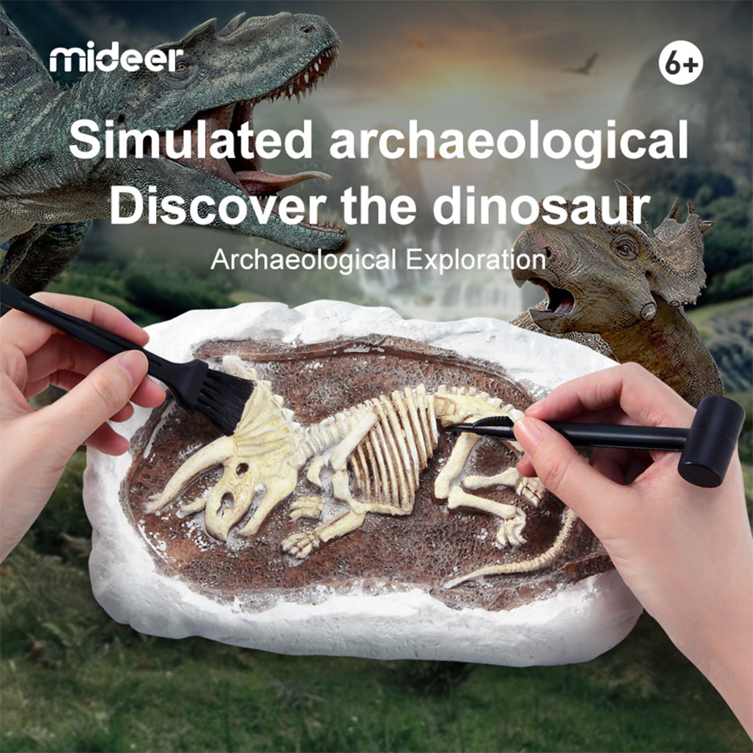 Mideer Revive a T-Rex Dig a Dinosaur Kit - Toyspry