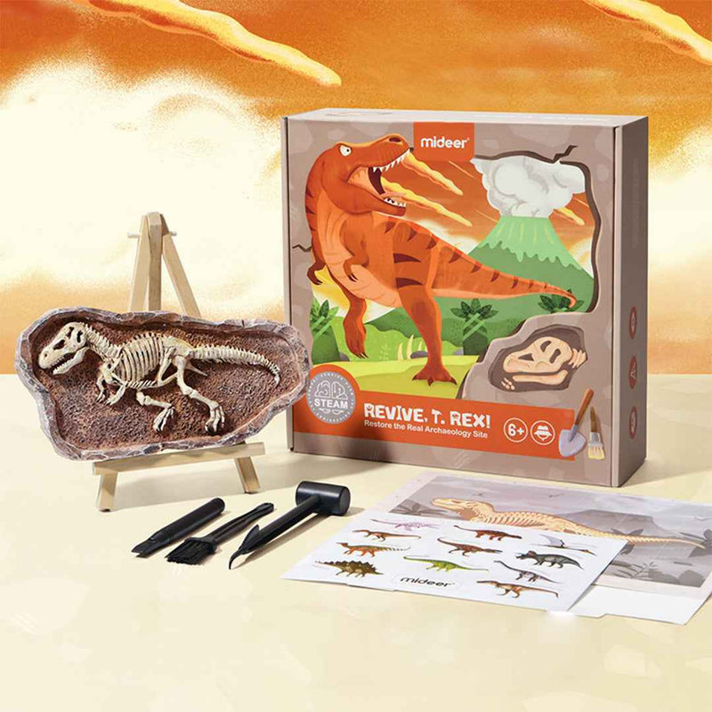 Mideer Revive a T-Rex Dig a Dinosaur Kit | STEM Toy