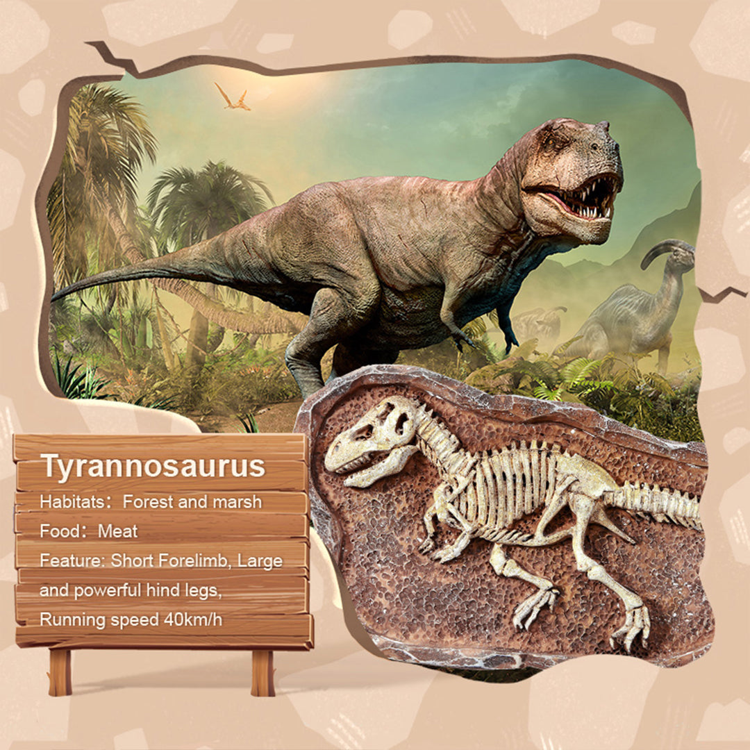 Mideer Revive a T-Rex Dig a Dinosaur Kit - Toyspry
