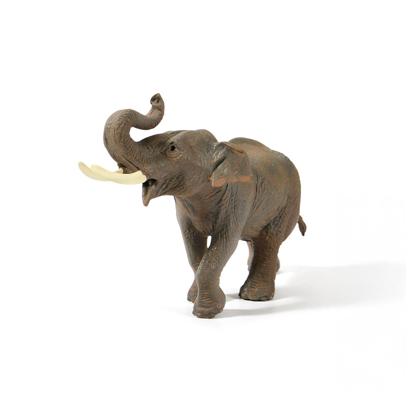 Durable indoor and outdoor textured safari models for educational toys UAE.