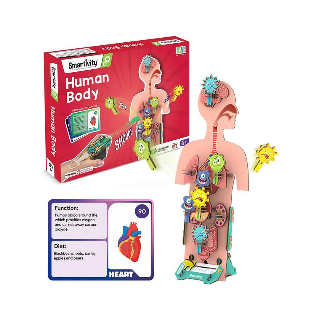 Smartivity Human Body DIY STEM Kit - Anatomy & Biology Toy (6Y+)