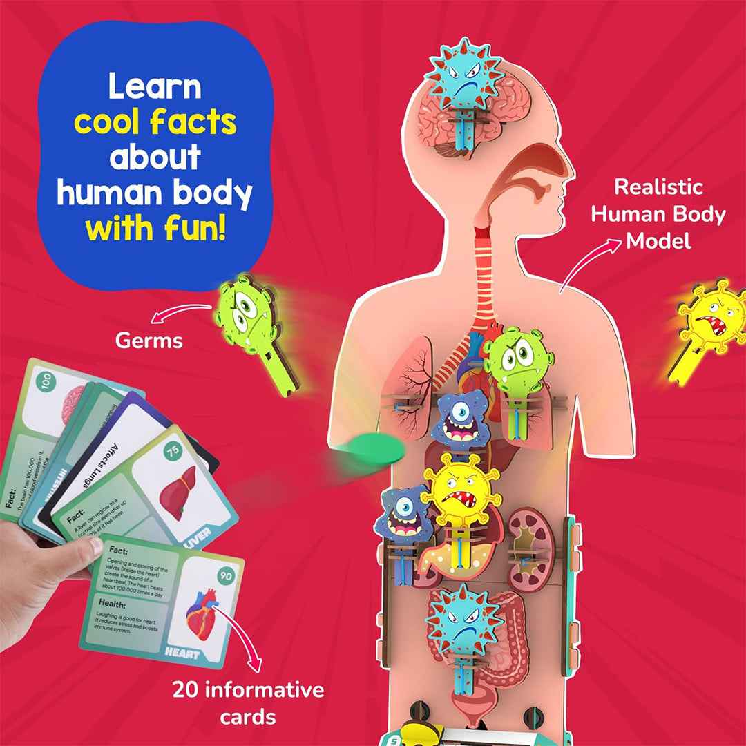 Smartivity Human Body DIY STEM Kit - Anatomy & Biology Toy (6Y+)