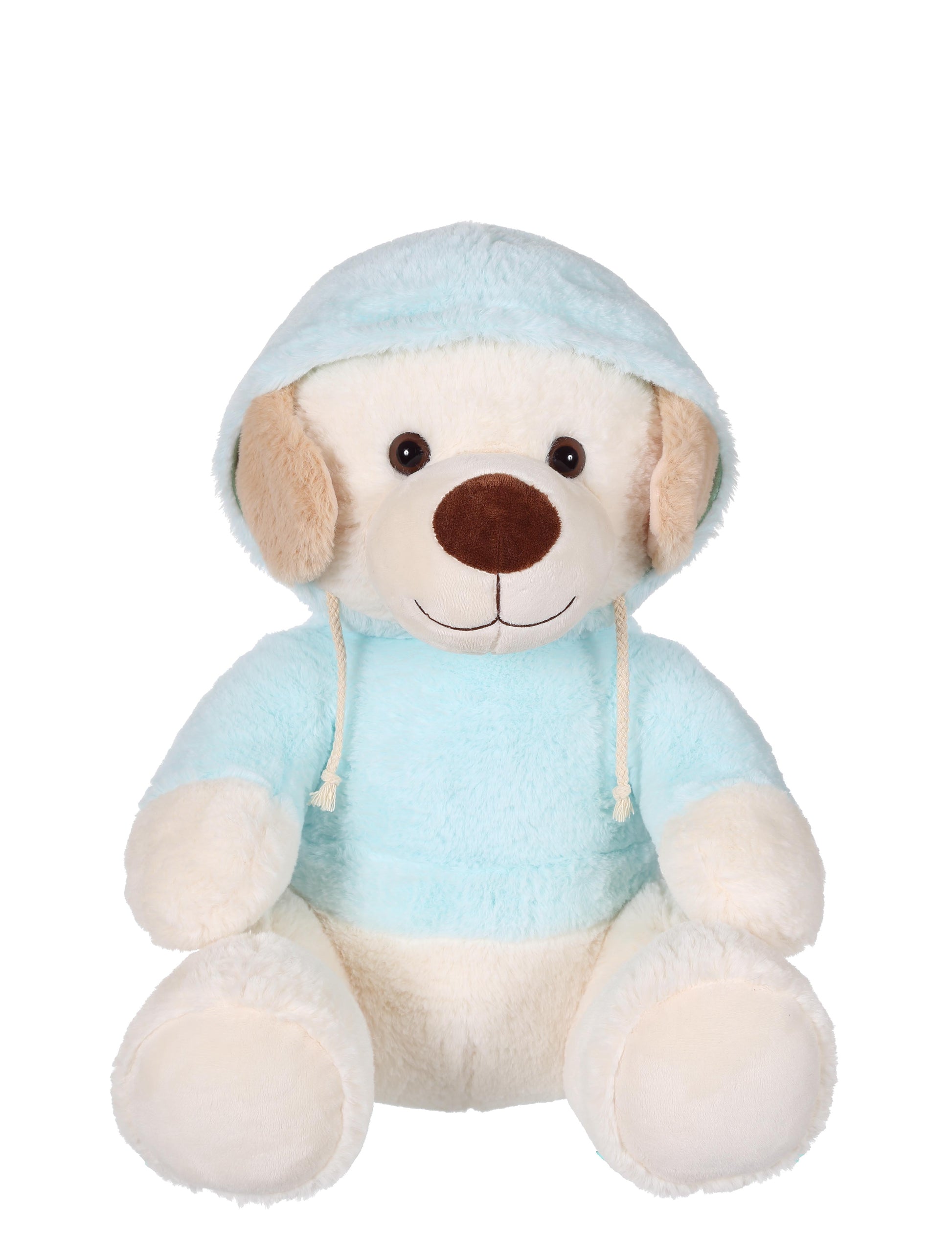 Sweat Friends Color Bear Plush Toy - 40cm Soft and Cuddly Bear with Hoodie