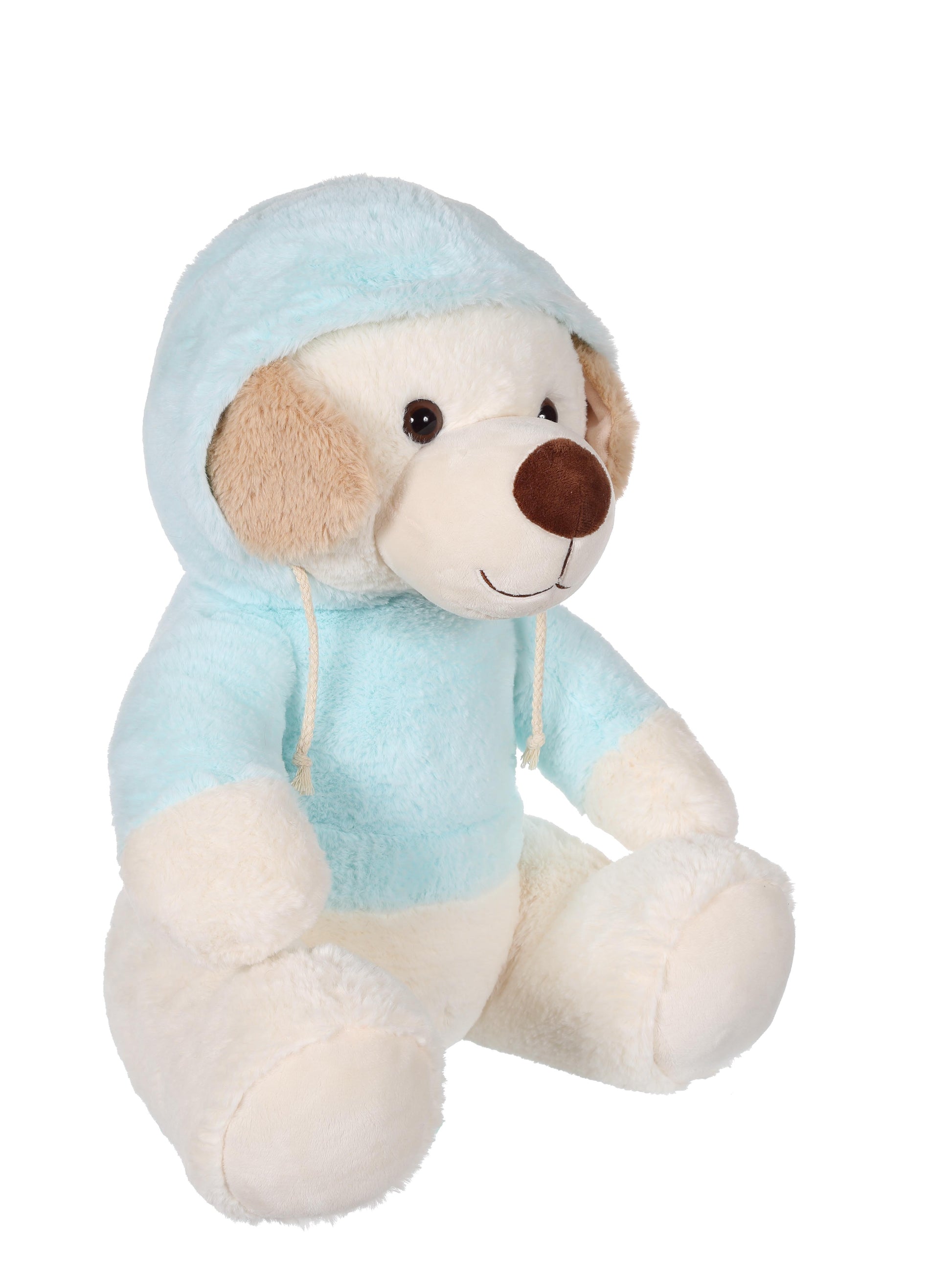 Sweat Friends Color Bear Plush Toy - 40cm Soft and Cuddly Bear with Hoodie