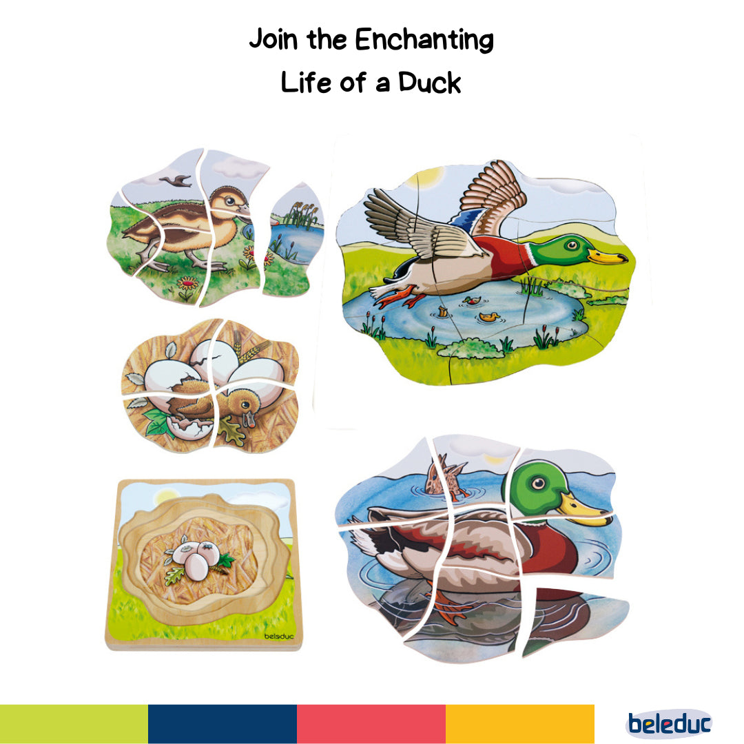 Beleduc 5-in-1 Layer Puzzle Duck - Toyspry