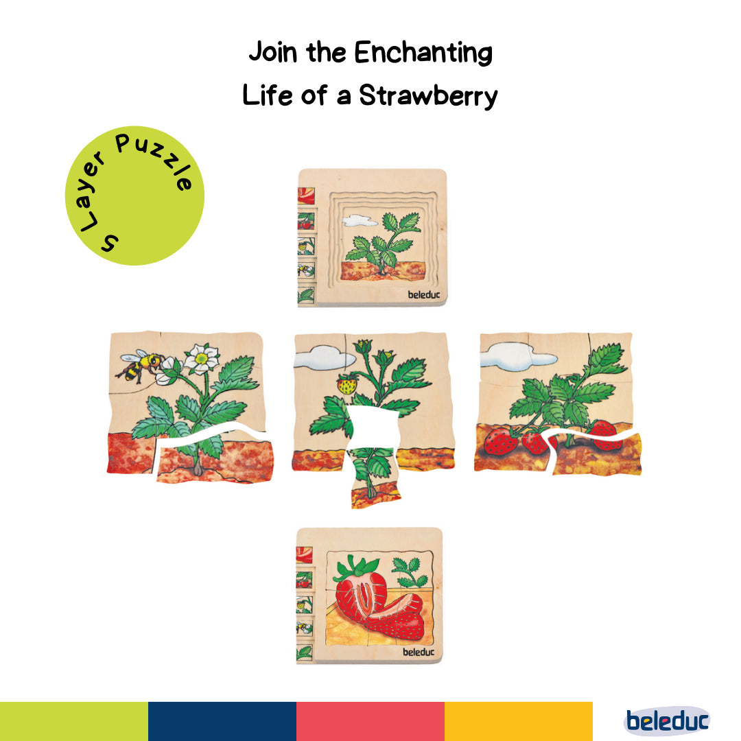 Beleduc 5-in-1 Layer Puzzle Strawberry