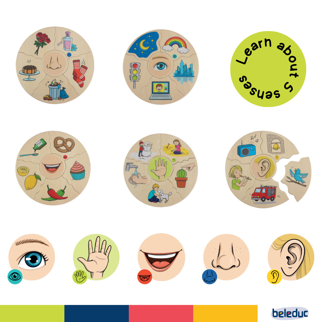 Non-toxic plywood 5 senses classification puzzle for toddlers and educational toys UAE.
