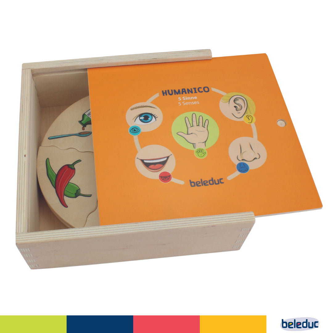 Montessori human biology sensory sorting game for screen-free play and language.
