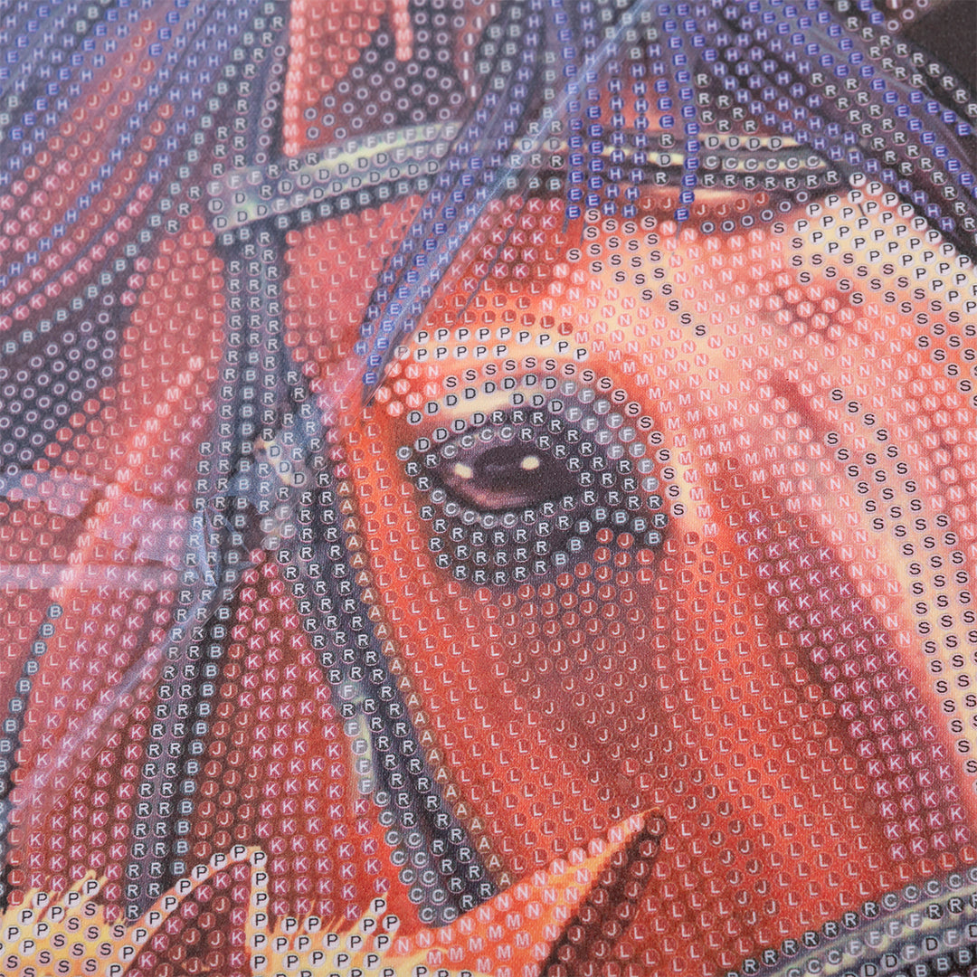 Chestnut Mares Crystal Art Scroll Kit - 35x45cm Diamond Painting Wall Art