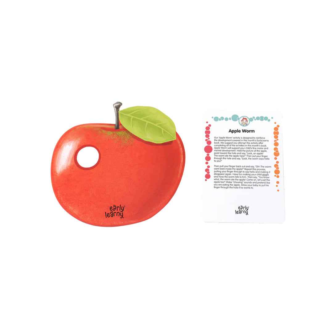 EarlyLearny Activity & Development Set - 9th Month Kit - Toyspry