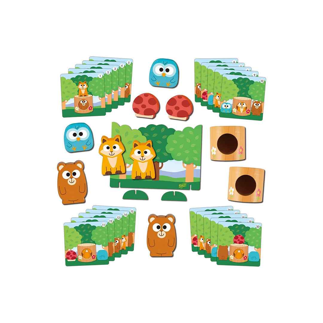 Galt Toys Memory Game - Toyspry