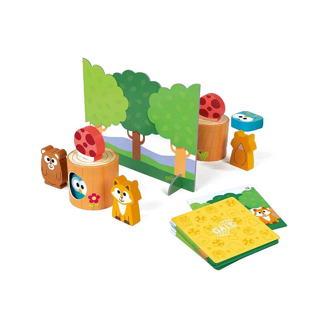 Galt Toys Memory Game - Toyspry