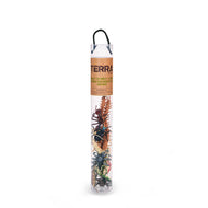 Terra Miniature Insects in a Tube - 14 Piece Insect Toy Set for Kids
