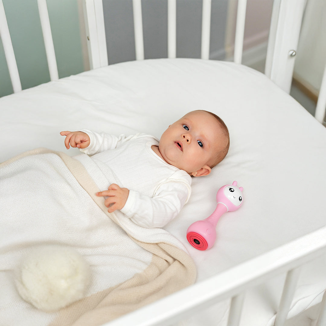 Alilo Smarty Shake & Tell Rattle (Pink)