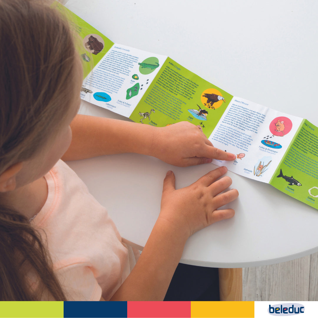 Natural plywood animal diet matching game for children and open-ended play.