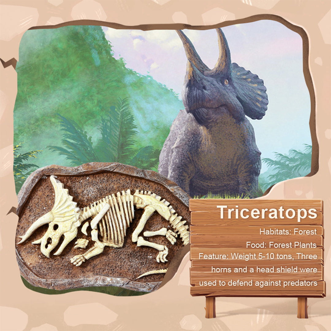 Educational dinosaur knowledge card and sticker from toys online UAE shop.