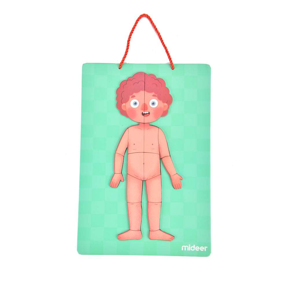 Non-toxic eco-friendly organ system jigsaw puzzle for children and educational toys UAE.
