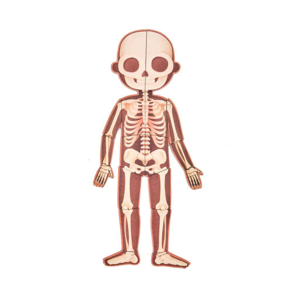 Mideer Human Body Magnetic Anatomy Puzzle 90pcs