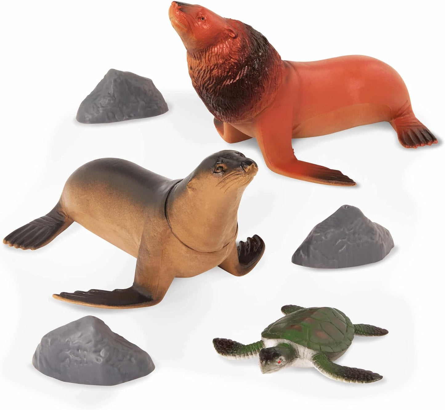 Close-up of the various miniature sea creatures in the Terra set