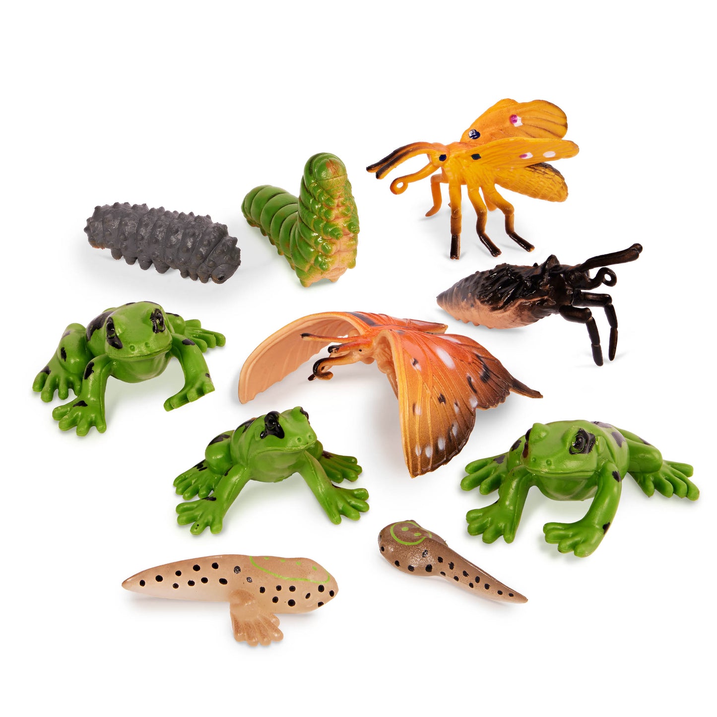 Close-up of the various transforming animal figures in the Terra set