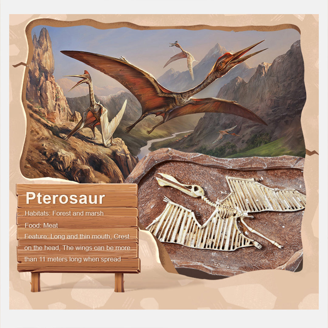 Non-toxic early development Pterosaur skeleton puzzle pieces for advanced educational toys UAE.

