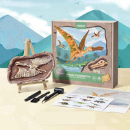 Mideer Dig a Dinosaur Kit - Revive a Pterosaur | STEM Toy UAE – Toyspry