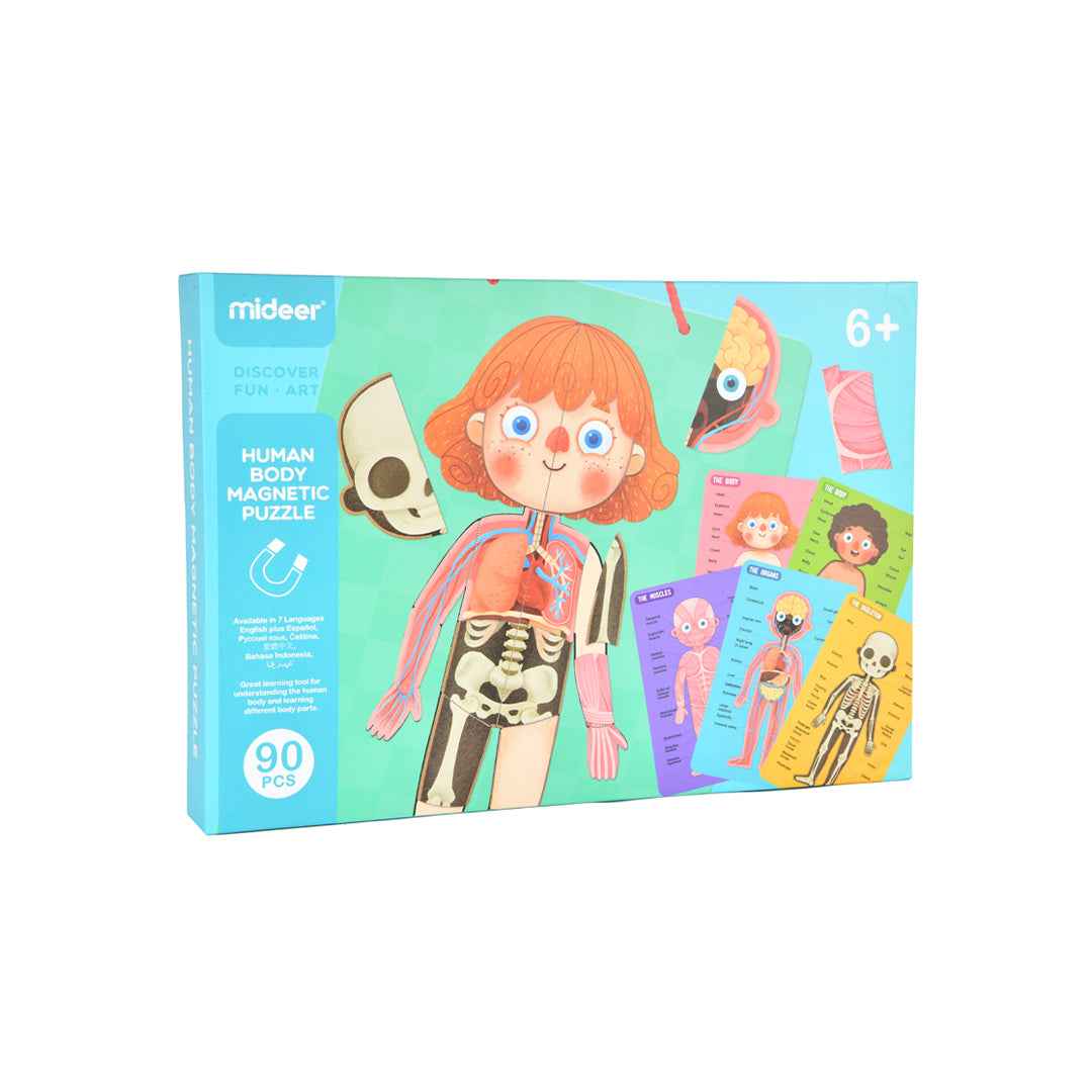 Mideer Human Body Magnetic Anatomy Puzzle 90pcs