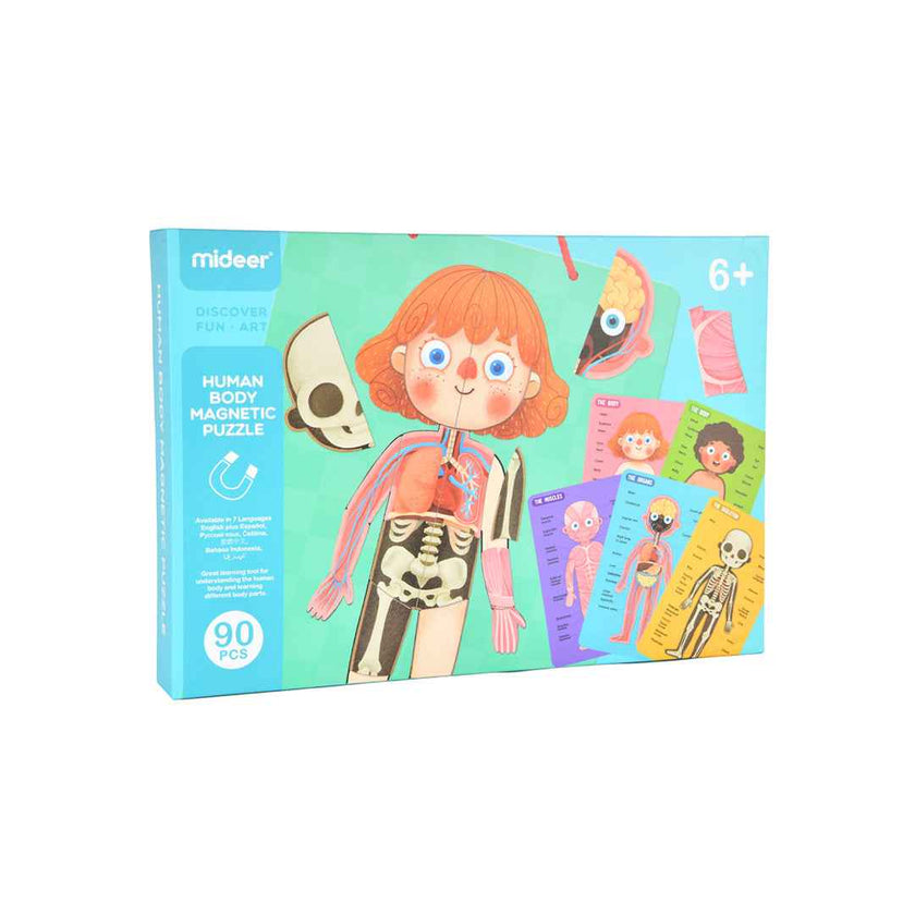 Mideer Human Body Magnetic Anatomy Puzzle 90pcs