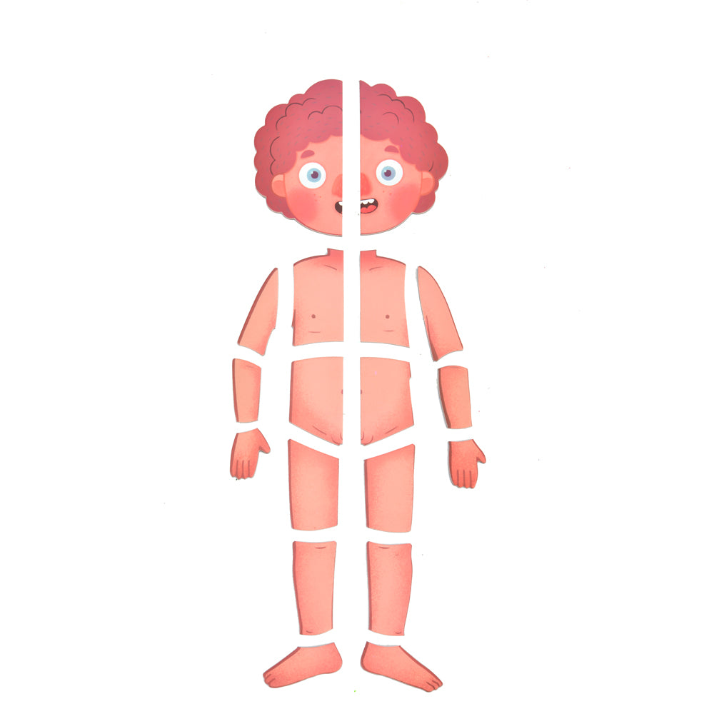 Mideer Human Body Magnetic Anatomy Puzzle 90pcs - Toyspry