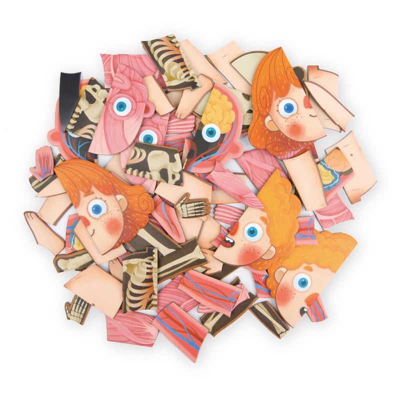 Non-toxic eco-friendly organ system jigsaw puzzle for children and educational toys UAE.
