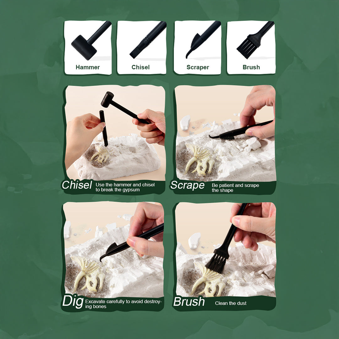 Mideer Revive a T-Rex Dig a Dinosaur Kit - Toyspry