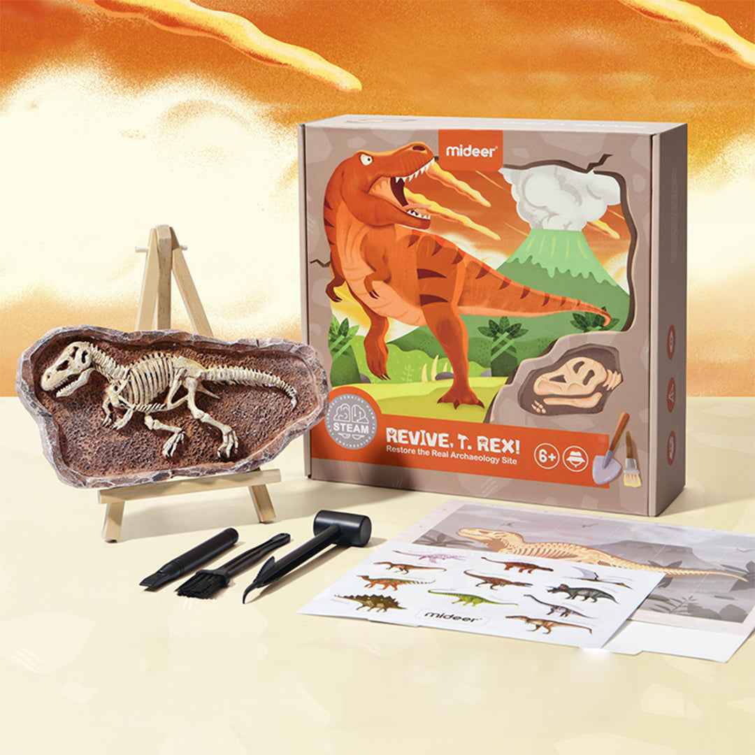 Mideer Revive a T-Rex Dig a Dinosaur Kit | STEM Toy (Copy)