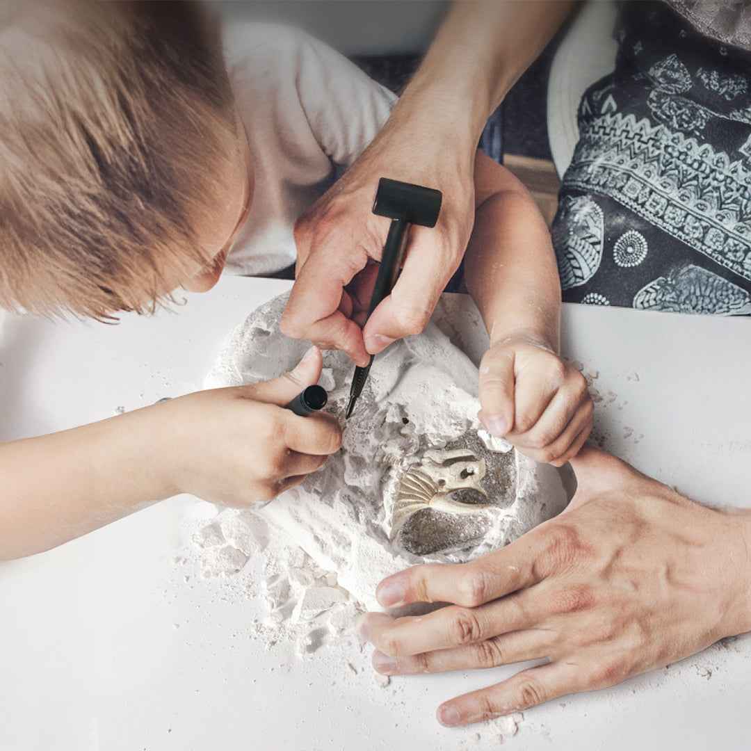 Mideer Revive a T-Rex Dig a Dinosaur Kit | STEM Toy (Copy)