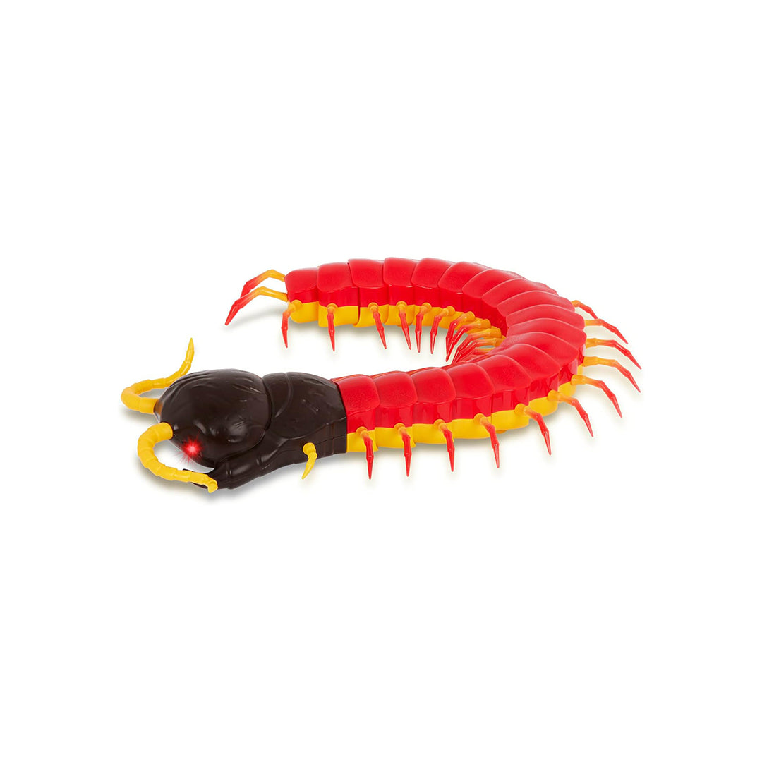 Terra RC Giant Centipede - Remote Control Toy with LED Eyes - Toyspry