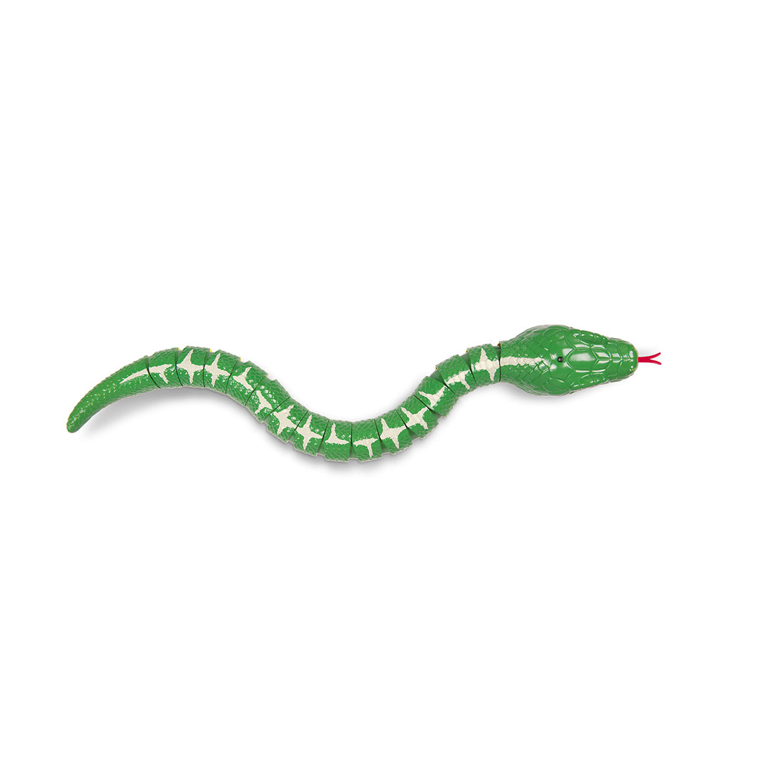  playing with the Terra RC Emerald Tree Boa Snake