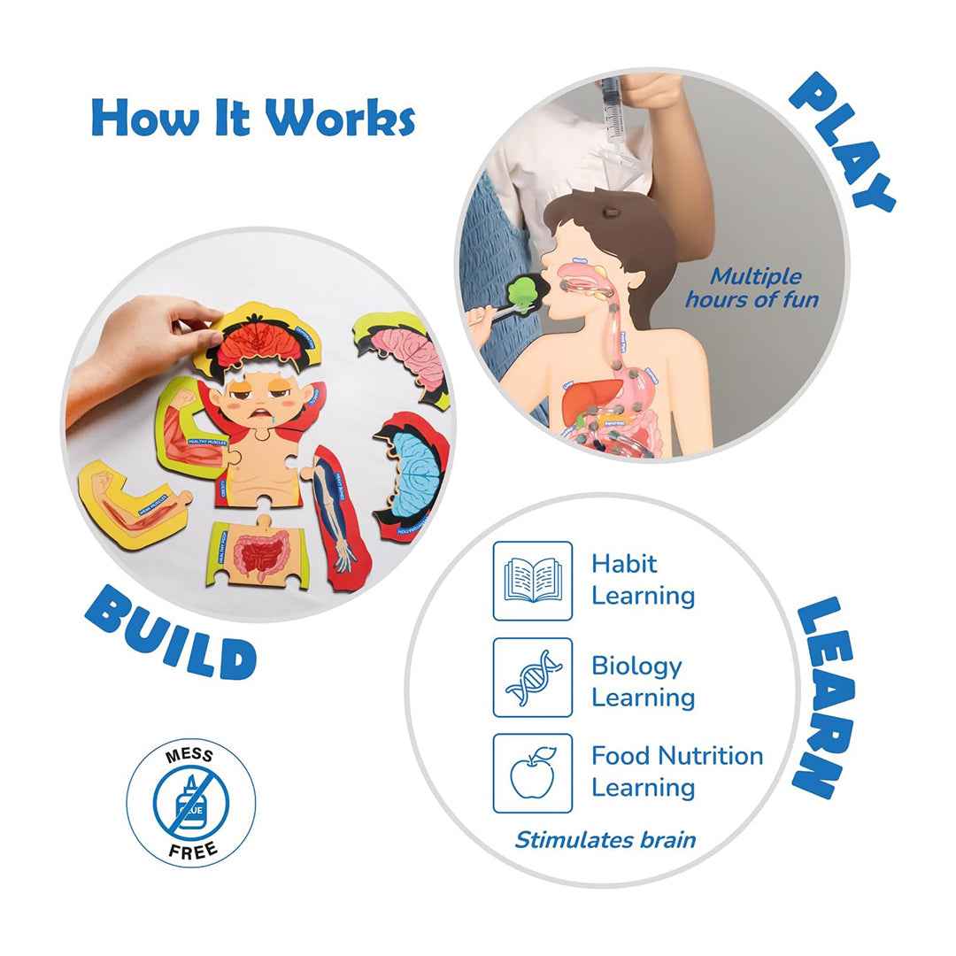 Smartivity Food Body & Nutrition - 5-in-1 Anatomy STEM Kit (6-12Y) - Toyspry