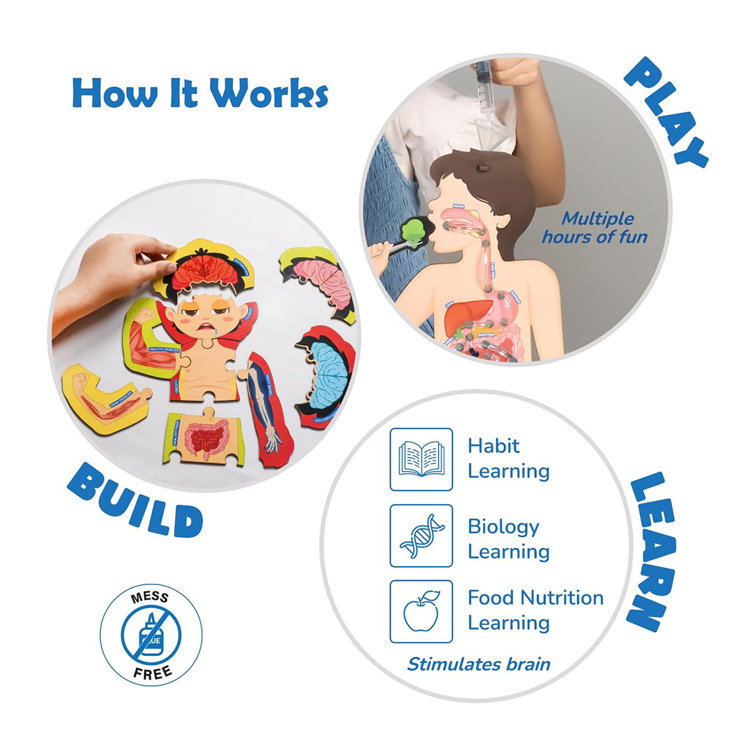 Smartivity Food Body & Nutrition | 5-in-1 STEM Kit
