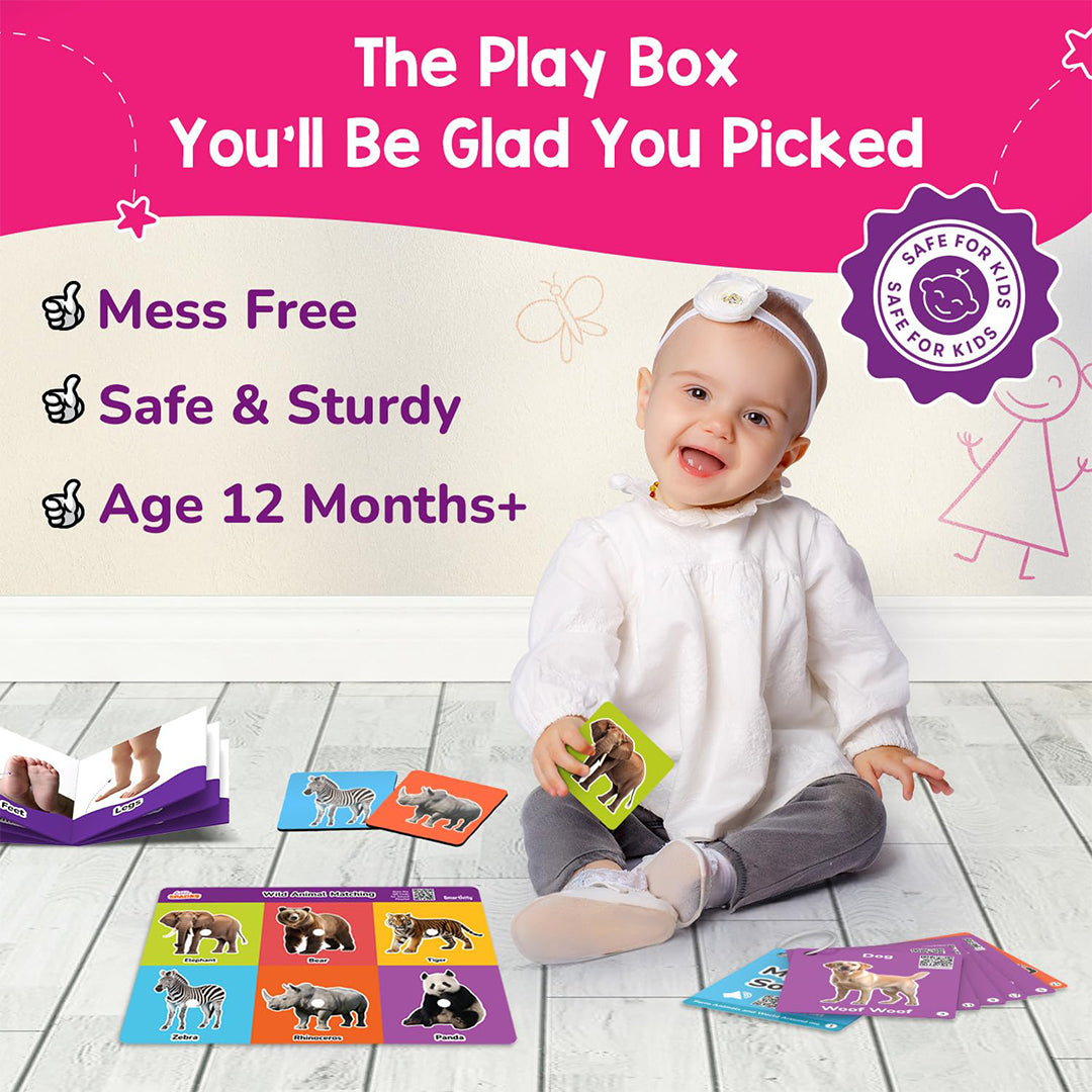 A photo showing all 5 activities and components from the kit laid out