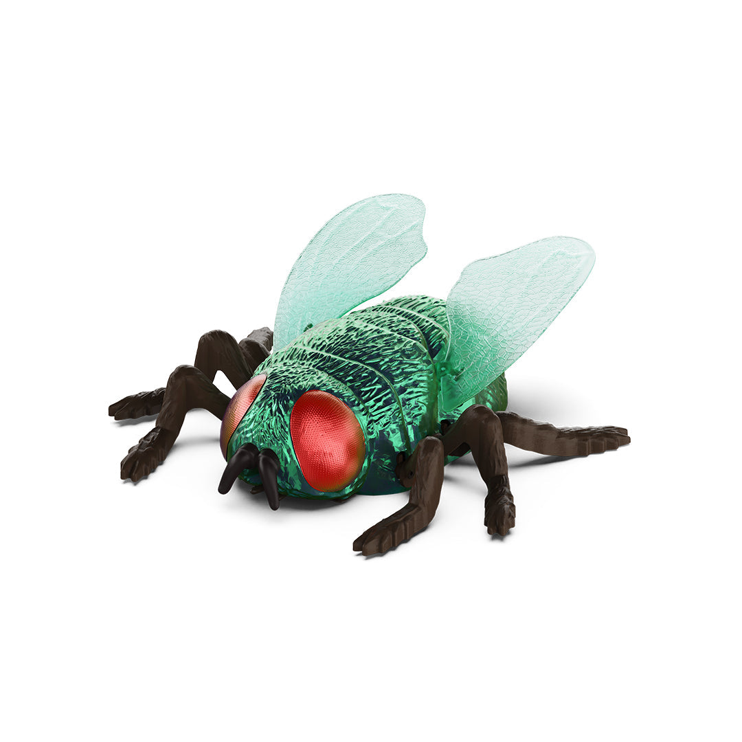 Terra RC Green Bottle Fly - Wall-Climbing Remote Control Toy - Toyspry
