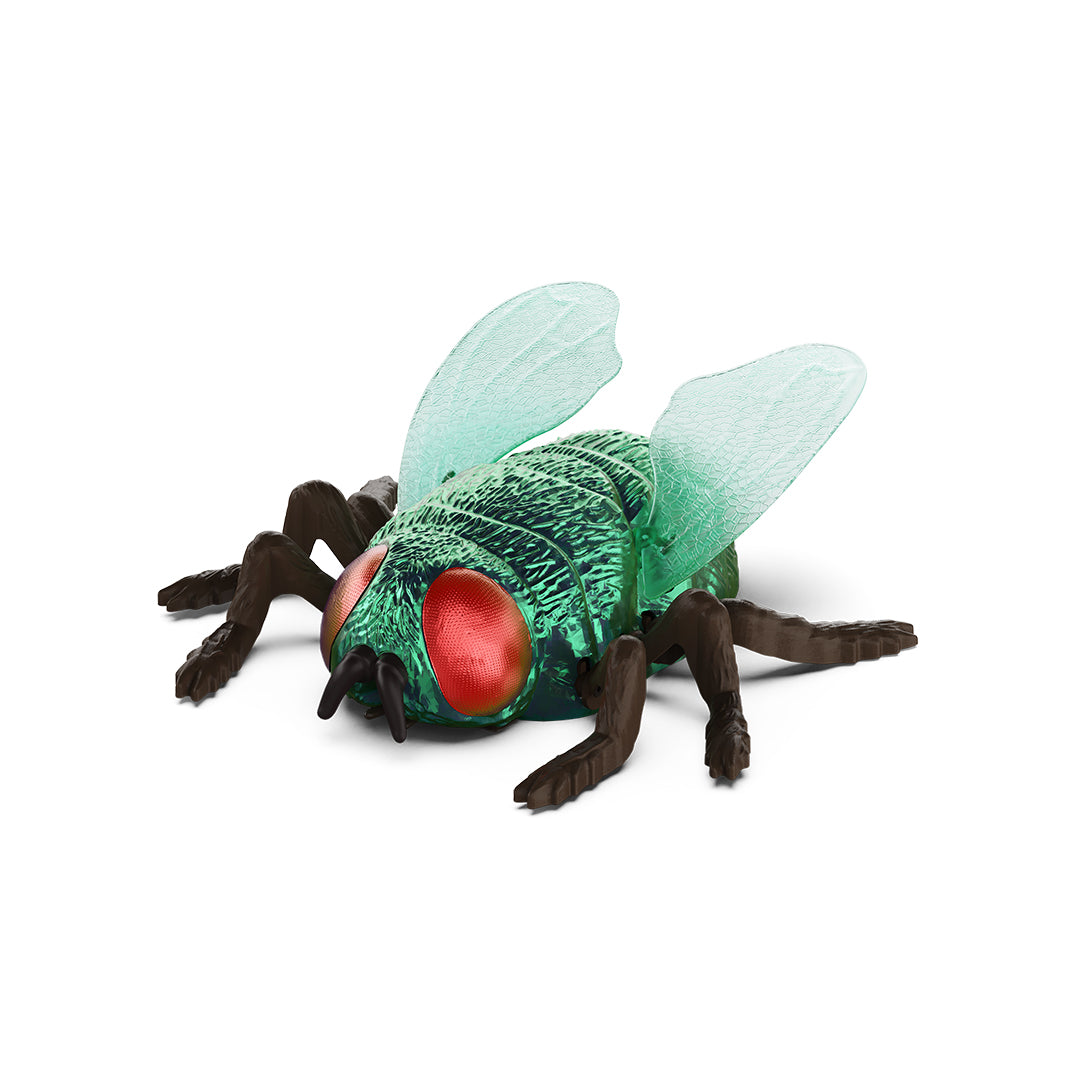 Terra RC Climbing Fly Toy: Green Bottle Fly That Crawls Walls & Ceiling