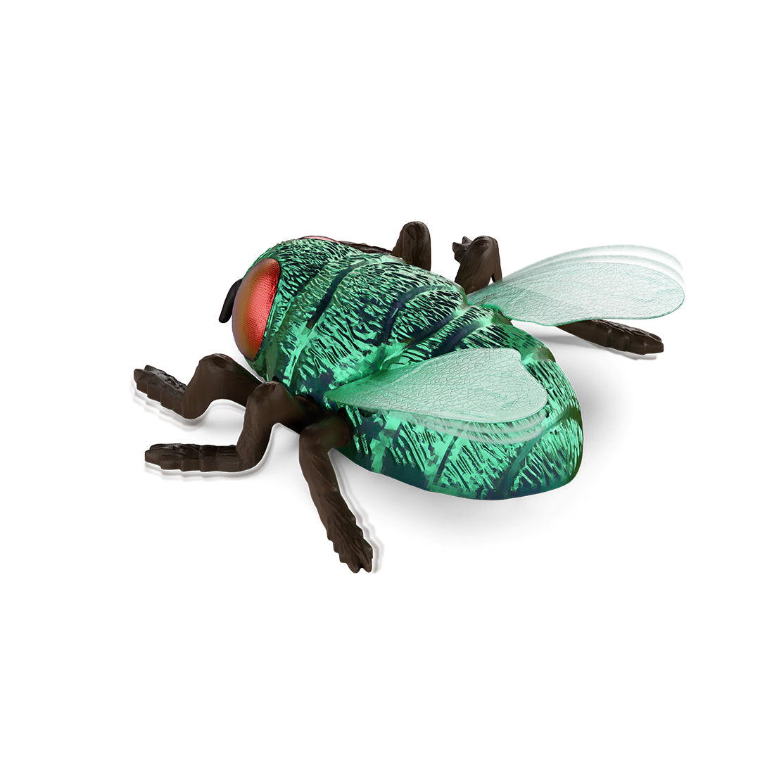 Terra RC Climbing Fly Toy: Green Bottle Fly That Crawls Walls & Ceiling