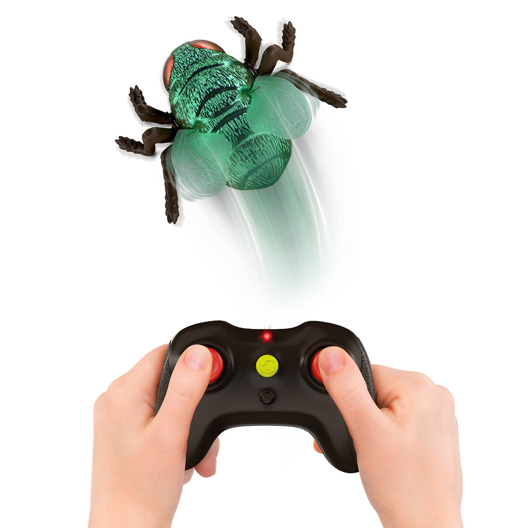 C green bottle fly toy crawling on the ceiling