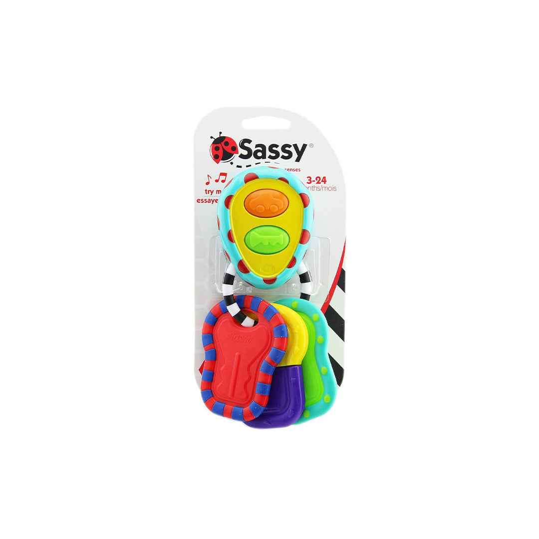 Sassy Tactile Tunes Rattle - Musical Teether Keys Toy (6M+)