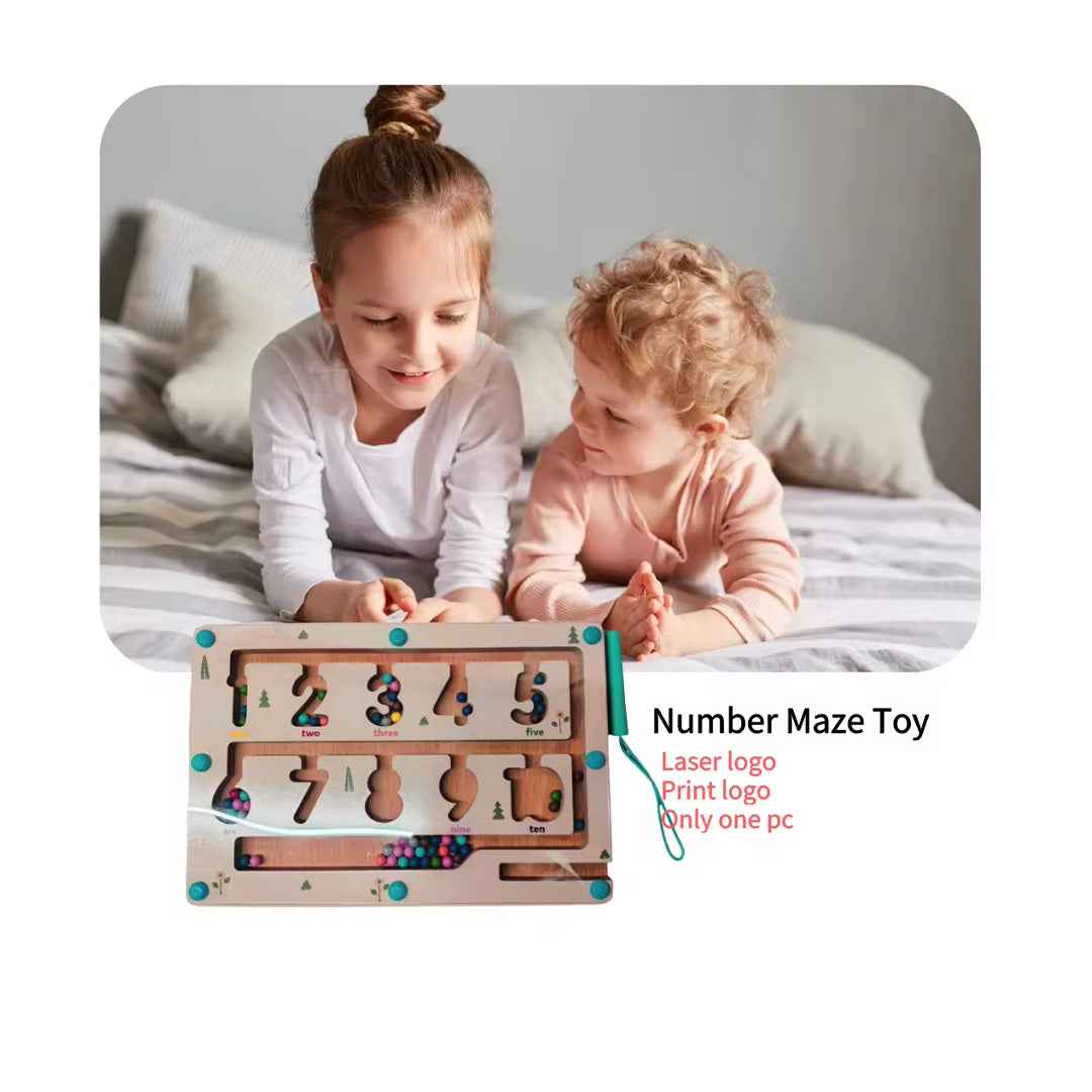 Wooden Magnetic Maze Toy | Color Sorting Montessori Toy (3Y+)