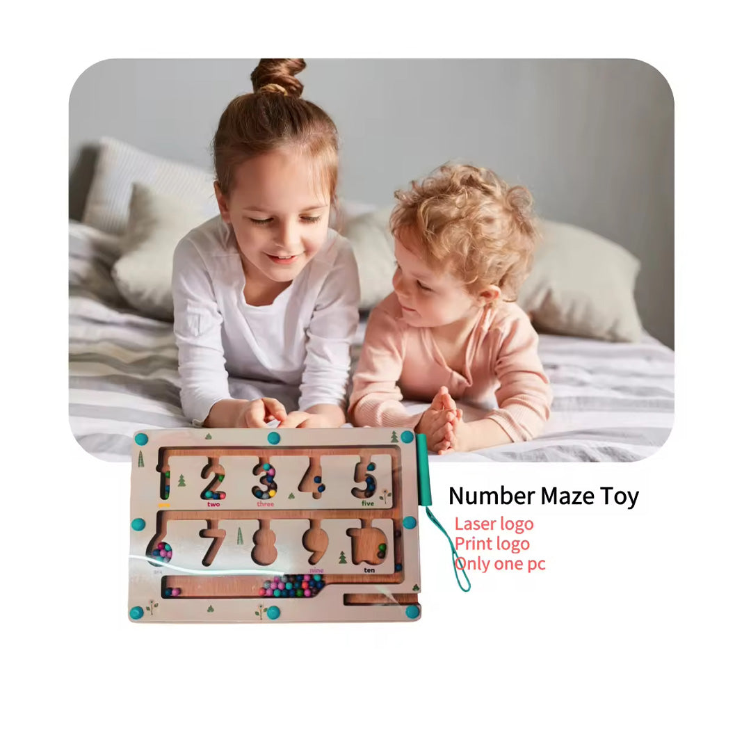 Wooden Magnetic Maze Toy | Color Sorting Montessori Toy (3Y+)